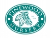 Pinewood Nursery